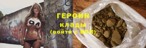 гидра Каменка