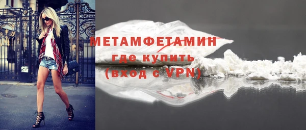 гидра Каменка