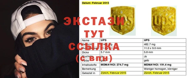 гидра Каменка