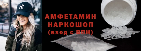 гидра Каменка