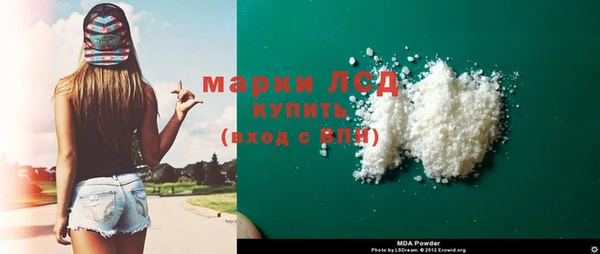 гидра Каменка