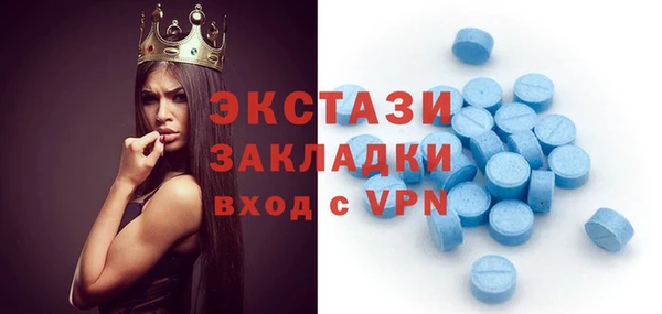 гидра Каменка