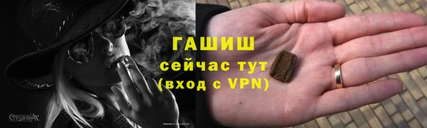 гидра Каменка