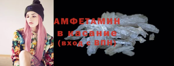 гидра Каменка