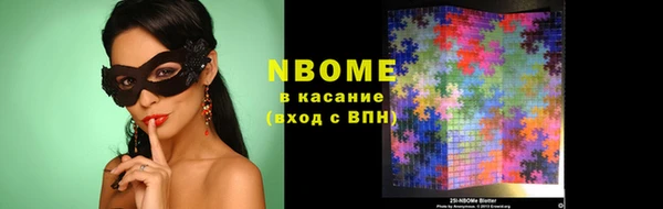 гидра Каменка