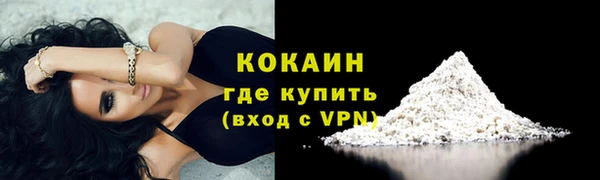 PSILOCYBIN Каменногорск