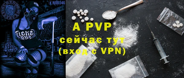 гидра Каменка