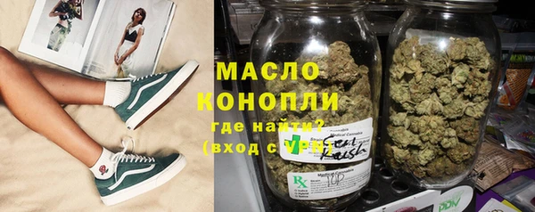 гидра Каменка