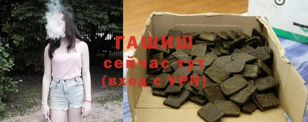 гидра Каменка