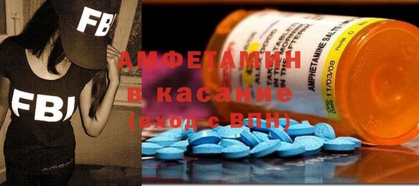 гидра Каменка