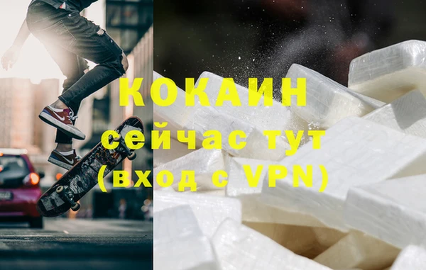 гидра Каменка