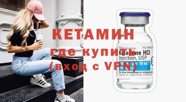 гидра Каменка