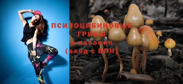 PSILOCYBIN Каменногорск