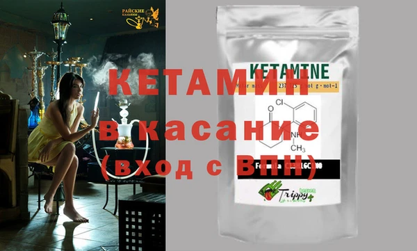 гидра Каменка