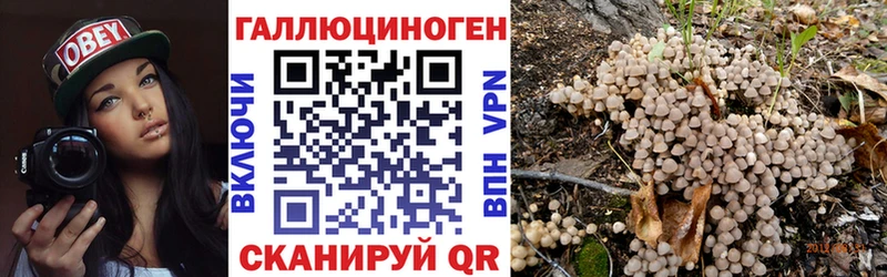 Псилоцибиновые грибы прущие грибы  Купить закладки  Дмитров 